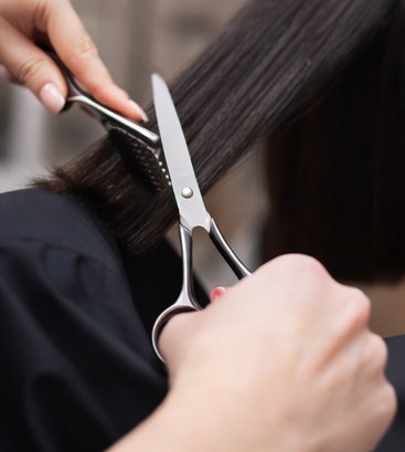 Corte, peinado y estilismo